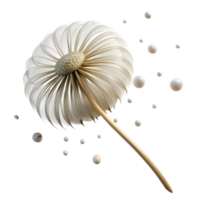 vibrant vintage elegant rustic Single Dandelion Seedhead Delicate premium professional png