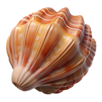 stunning traditional A Close Up of a Seashell with Intricate detailed png