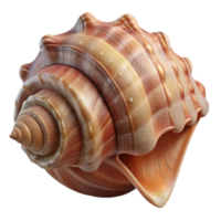beautiful modern A Close Up of a Seashell with Intricate high resolution png