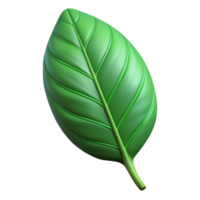 beautiful abstract A single, perfect green leaf with intricate veins, backlighting, botanical illustration style 4K png