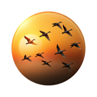 stunning classic A group of migrating birds flying in formation against a sunset sky, silhouette style, warm color palette exclusive png