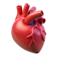 elegant creative A Digital Rendering of a Human Heart high quality png