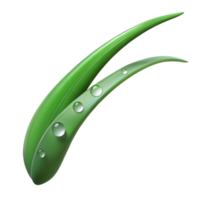 beautiful traditional A Single Blade of Grass with Dew Drops high resolution png