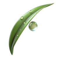 wonderful creative A Single Blade of Grass with Dew Drops original png