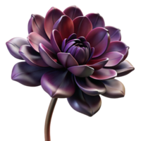 dramatic traditional A Wilting Flower Dramatic Lighting Dark exclusive png