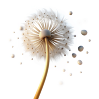 impressive creative A Single Dandelion Seedhead with Seeds high resolution png