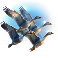 wonderful minimalist A Flock of Migrating Geese Flying in V detailed png