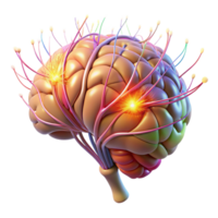 extraordinary rustic A D Model of a Human Brain Neural exclusive png