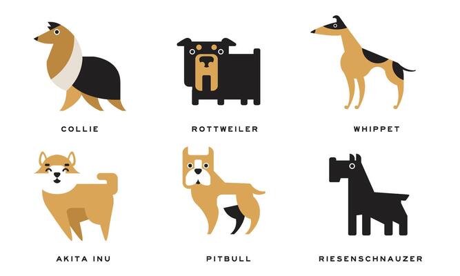 Breeds of Dogs Collection, Collie, Rottweiler, Whippet, Akita Inu, Pitbull, Riesenschnauzer Illustration