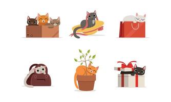 Different Domestic Cats Hiding and Resting in Various Places Set vector