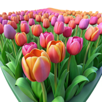 beautiful modern A Field of Tulips in Full Bloom Vibrant genuine png