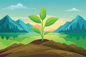 Sunset Farming Rows of Green Pea Sprouts vector
