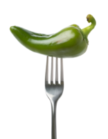 fresh green sweet pepper pod pierced on a sleek silver fork, glossy chili pepper with smooth surface on isolated background png