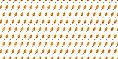 Autumn Pattern With Orange Leaves on a White Background vector