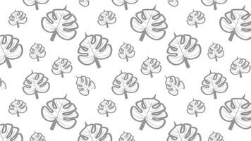 Pattern of Monstera Leaves in Minimalist Gray Tones on White Background vector
