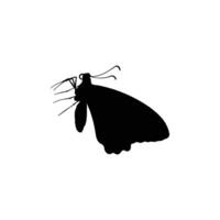 Abstract moth insect silhouette for unique and creative designs vector
