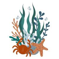 Underwater composition of coral reef, algae, seashell and crab. Hand drawn underwater elements. Art of nautical elements vector