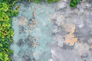 Surface with patches of green plants and weathered paint in shades of blue, gray, and orange. photo