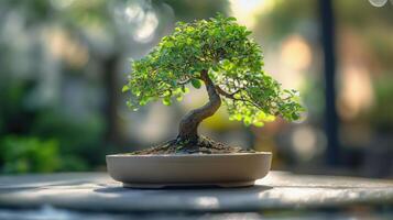 A beautifully shaped bonsai tree in a round pot, showcasing vibrant green leaves. The tree is artistically pruned, sitting on a stone surface with a blurred garden background. photo