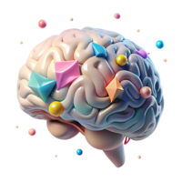 impressive artistic Human Brain Anatomy Lateral View Transparent for Science Projects high quality png