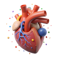 wonderful abstract Human Circulatory System Diagram Cutout for Cardiology authentic png