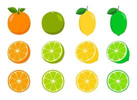 Set of oranges, lemons and limes. halved and thinly sliced. vector