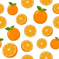 seamless pattern with oranges on white background vector