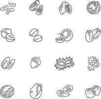 web icons collection - nuts, beans and seed vector
