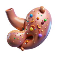 vibrant minimalist Human Gallbladder Anatomy Transparent for Digestive Health high resolution png