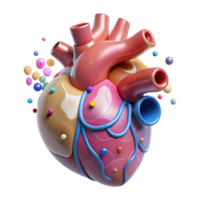 wonderful creative Human Heart Anterior View Transparent for Cardiology Graphics premium png