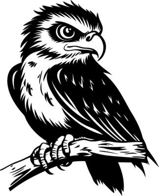 Majestic Black Hawk Perched on Branch Detailed Illustration for Tattoo Design and Art Projects