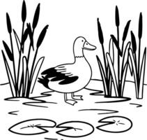 Cute Duck Among Reeds and Water Lilies in a Tranquil Pond Scene for Coloring Books vector
