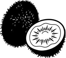 Kiwi Fruit Illustration with Detail of Whole and Sliced Halves for Design Projects vector
