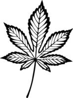 Detailed Outline of a Maple Leaf Perfect for Graphic Design Nature Themes and Tattoos vector