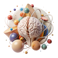 serene creative Nervous System Brain Spinal Cord Isolated for Neuroscience Research high quality png