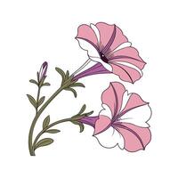 Petunia Flower Design on White Background vector