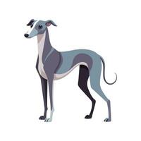 Whippet Dog Illustration in Bold Outline vector