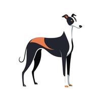 Stylized Whippet Dog Bold Outline Design vector