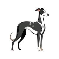 Whippet Dog in Bold Outline Design vector