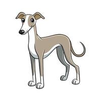 Stylized Whippet Dog Illustration in Outline vector