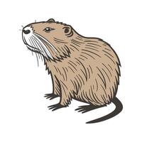 Nutria Animal on White Background Design vector