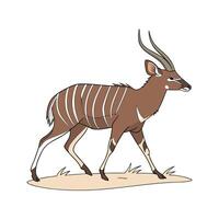Sitatunga Antelope Unique on White Background vector