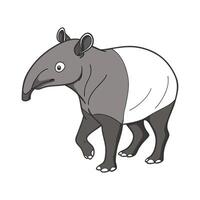 Tapir Illustration on White Background vector