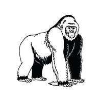 Gorilla on White Background Bold Outline vector