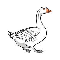 Chinese Goose Realistic Color Illustration Design vector