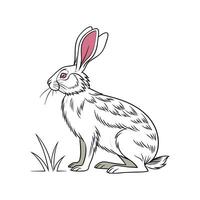 Stylized Rex Rabbit on White Background vector