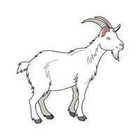 Stylized Saanen Goat Realistic Illustration vector