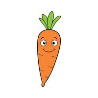 Nantes Carrot Colorful on White Background vector