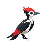 Woodpecker on White Background Illustration vector