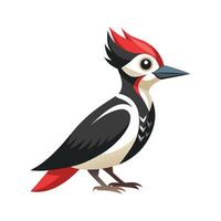 Stylized Woodpecker on White Background vector